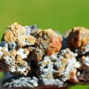 Sphalerite and Quartz 111 grams - Haus Rappoltstein vein, Neuenburg, Haut-Rhin, Alsace, France - image 7