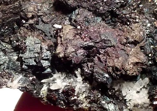 Sphalerite, Bornite, Enargite - image 2