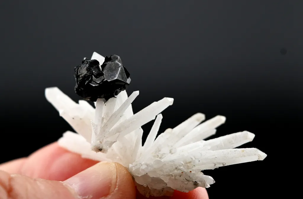 Sphalerite from Russia, Primorsky Krai, Dalnegorsk Urban District, Dalnegorsk, Nikolaevskiy Mine - image 2