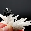 Sphalerite from Russia, Primorsky Krai, Dalnegorsk Urban District, Dalnegorsk, Nikolaevskiy Mine - image 2