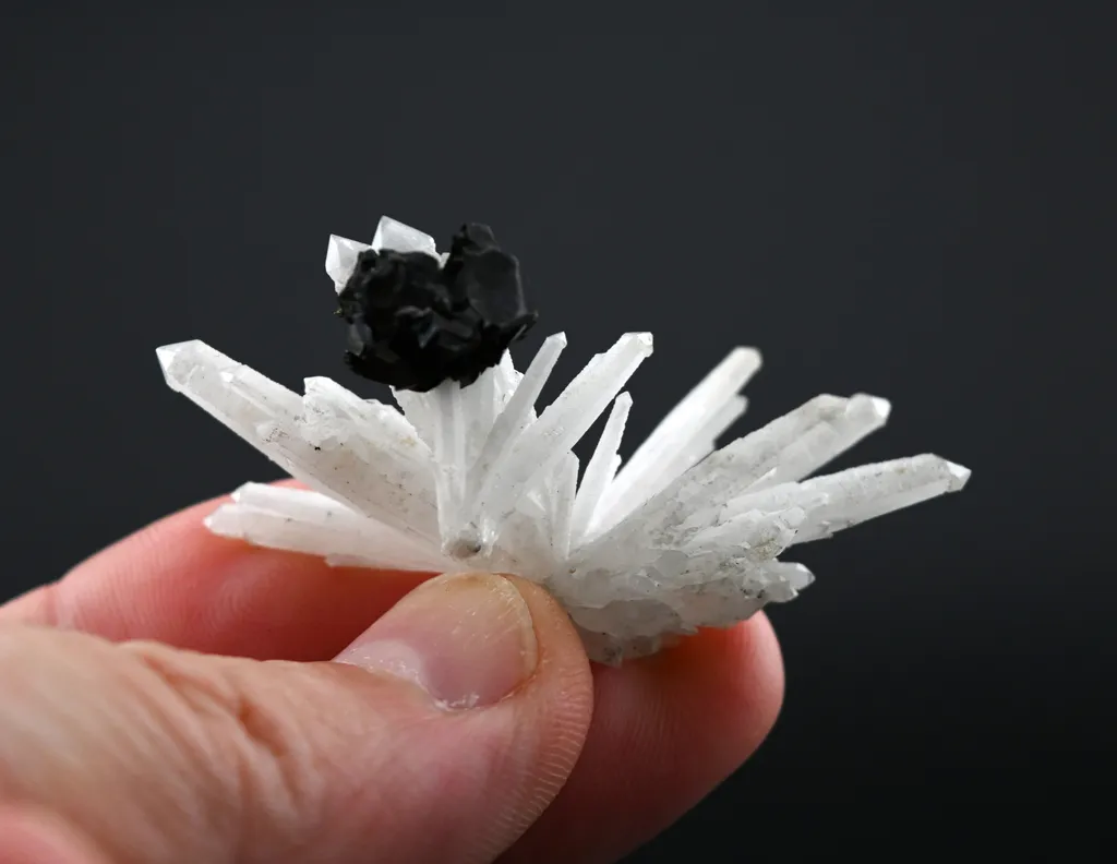 Sphalerite from Russia, Primorsky Krai, Dalnegorsk Urban District, Dalnegorsk, Nikolaevskiy Mine - image 4