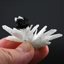 Sphalerite from Russia, Primorsky Krai, Dalnegorsk Urban District, Dalnegorsk, Nikolaevskiy Mine - image 4