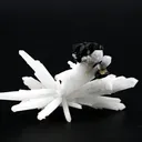 Sphalerite from Russia, Primorsky Krai, Dalnegorsk Urban District, Dalnegorsk, Nikolaevskiy Mine - image 3