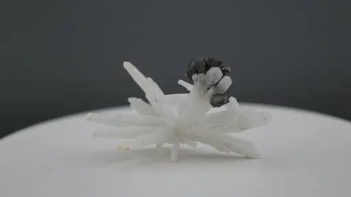 specimen video