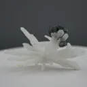 specimen video
