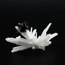 Sphalerite from Russia, Primorsky Krai, Dalnegorsk Urban District, Dalnegorsk, Nikolaevskiy Mine - image 1
