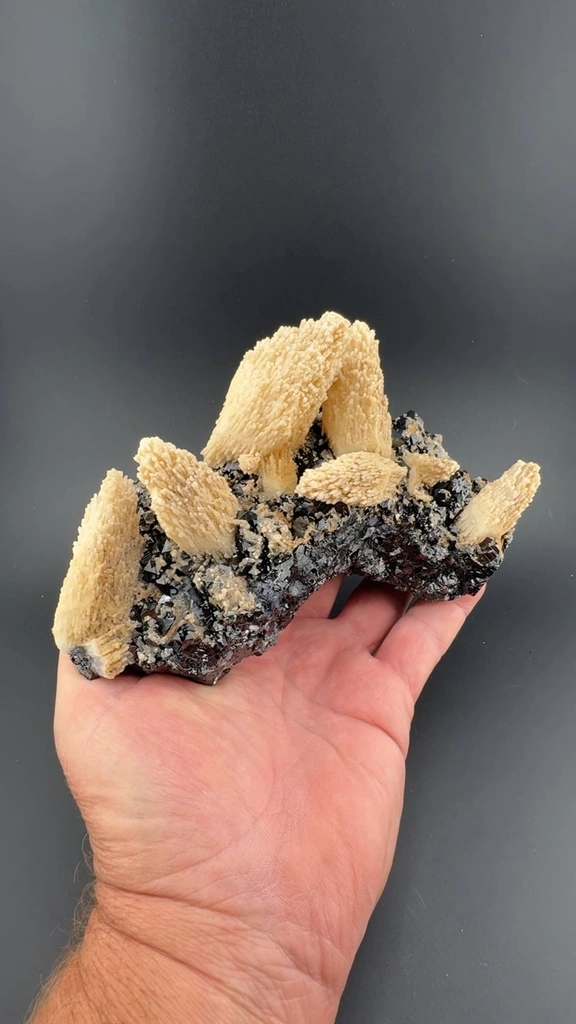 Sphalerite from Septemvri Mine, Smolyan Province, Bulgaria - image 2