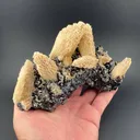 Sphalerite from Septemvri Mine, Smolyan Province, Bulgaria - image 2