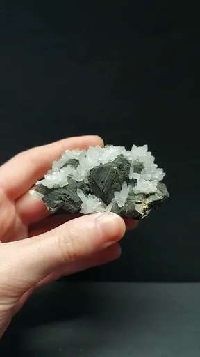 specimen video