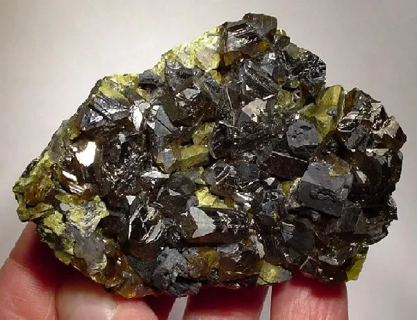 Sphalerite, Galena, Chalcopyrite image