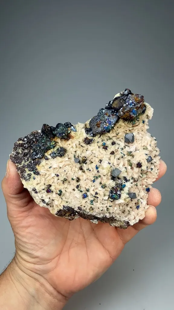 Sphalerite, Galena, Chalcopyrite on Dolomite image