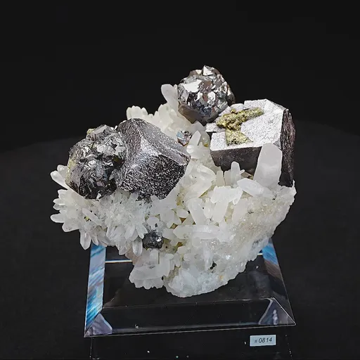 specimen video