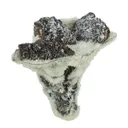 Sphalerite on Calcite "Pinnacle" - image 3