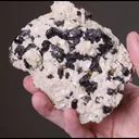 Sphalerite on Dolomite - image 2