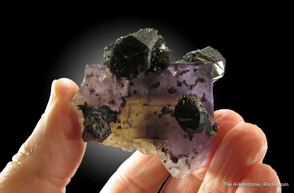 Sphalerite on Fluorite, with Chalcopyrite - image 2