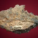 Sphalerite on Quartz - image 5