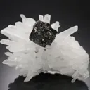 Sphalerite on Quartz - image 1