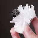 Sphalerite on Quartz - image 2