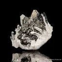Sphalerite on Quartz - image 6