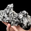 Sphalerite on Quartz - image 2