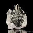 Sphalerite on Quartz - image 4