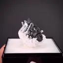 Sphalerite on Quartz - image 2