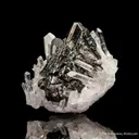 Sphalerite on Quartz - image 5