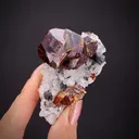 Sphalerite on Quartz (classic find) - image 1