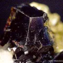 Sphalerite on Siderite on Quartz - image 2