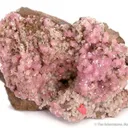 Sphalerite (Rare!) With Rhodochrosite - image 1