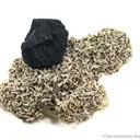 Sphalerite (Twinned!) on Dolomite - image 1