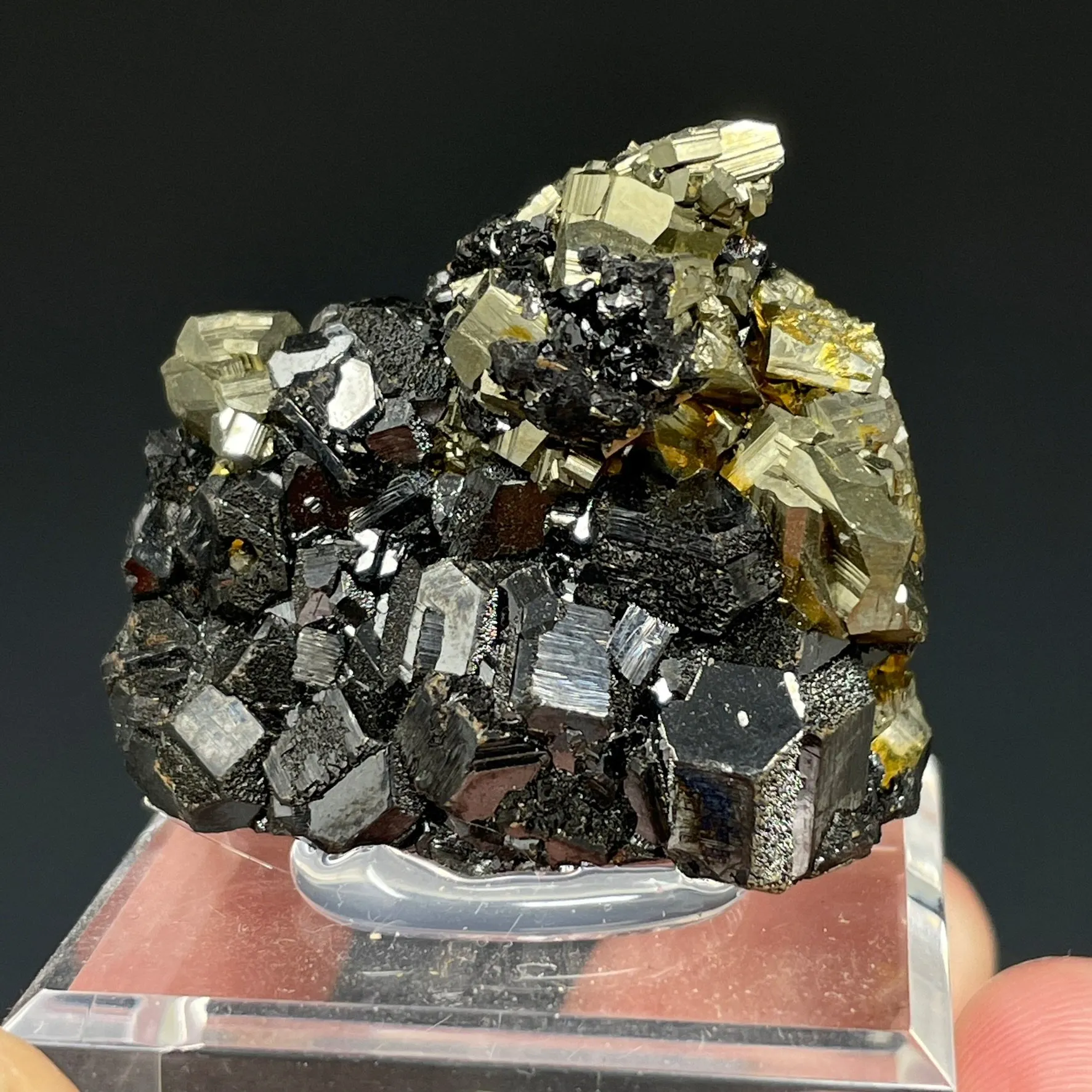 Sphalerite Var Marmatite  and Pyrite - image 1