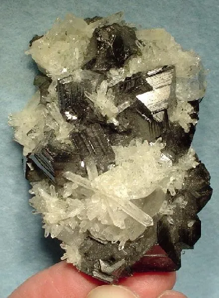 Sphalerite (Var: Marmatite), Quartz image