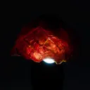 Sphalerite with Calcite - image 2