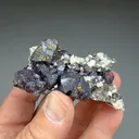 Sphalerite with Chalcopyrite, Dolomite - image 2