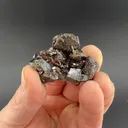 Sphalerite with Chalcopyrite, Marcasite - image 1