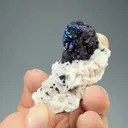Sphalerite with Chalcopyrite on Dolomite - image 1