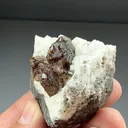 Sphalerite with Dolomite (1955) - image 2