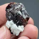 Sphalerite with Dolomite - image 2