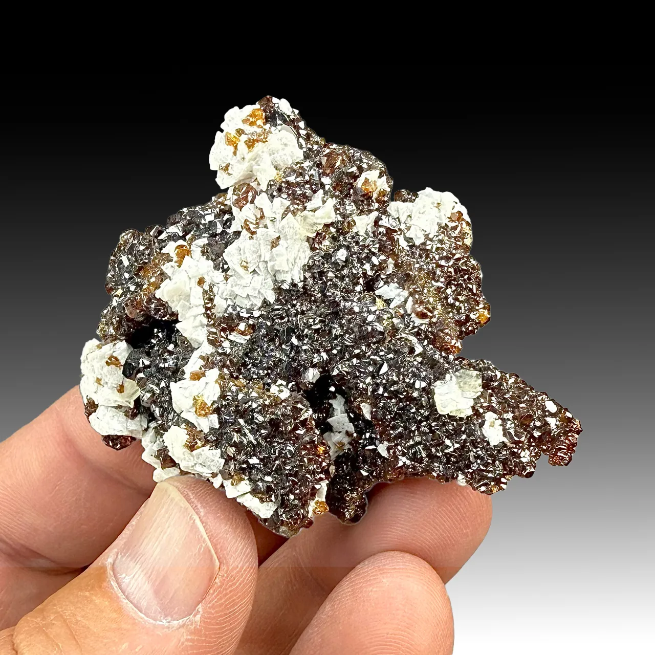 Sphalerite with Dolomite, Barite (2048) - image 1