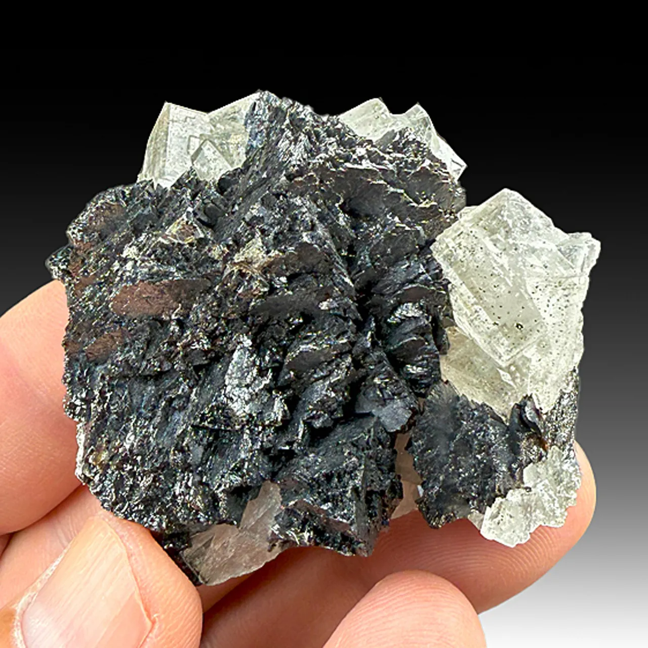 Sphalerite with Fluorite, Marcasite - image 1