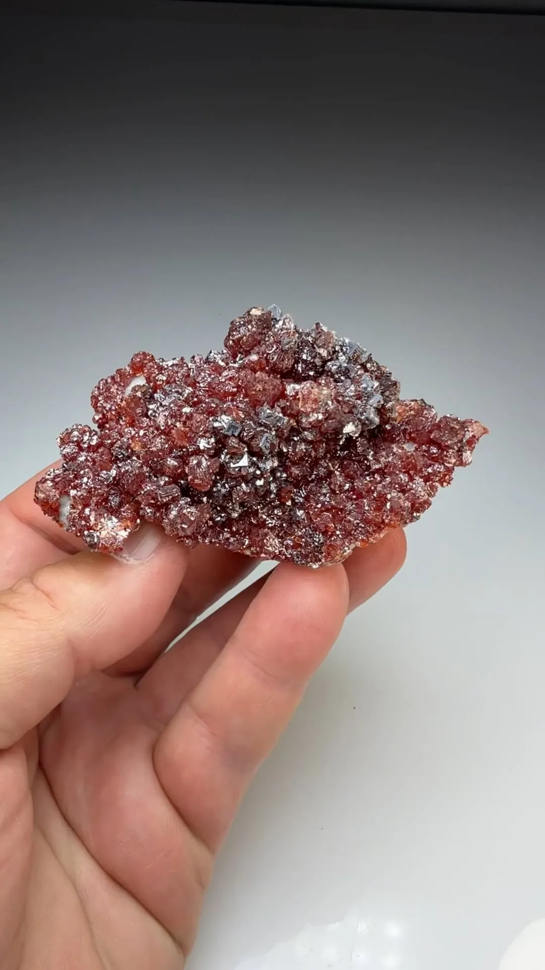 Sphalerite with Galena (2264) - image 2