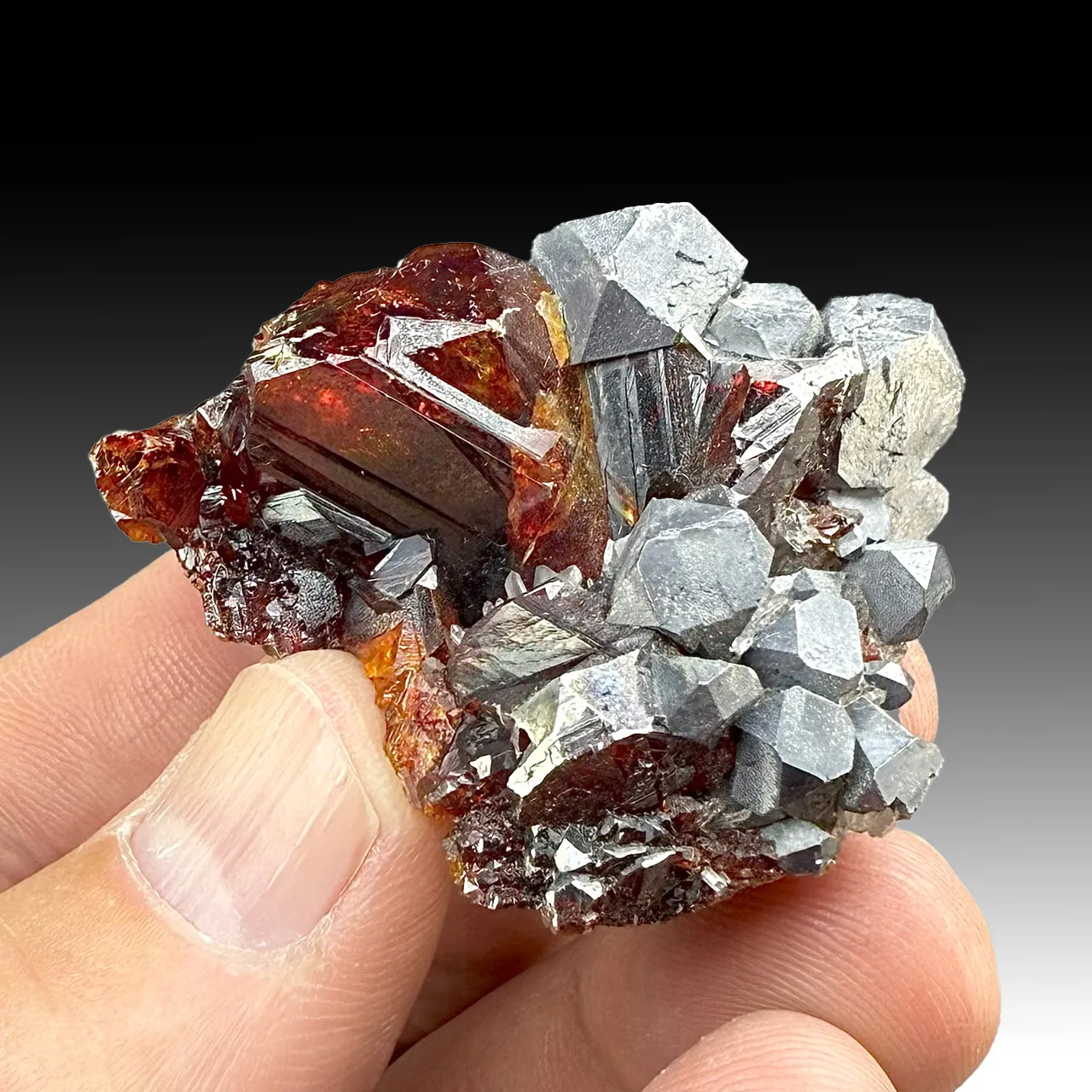 Sphalerite with Galena - image 1