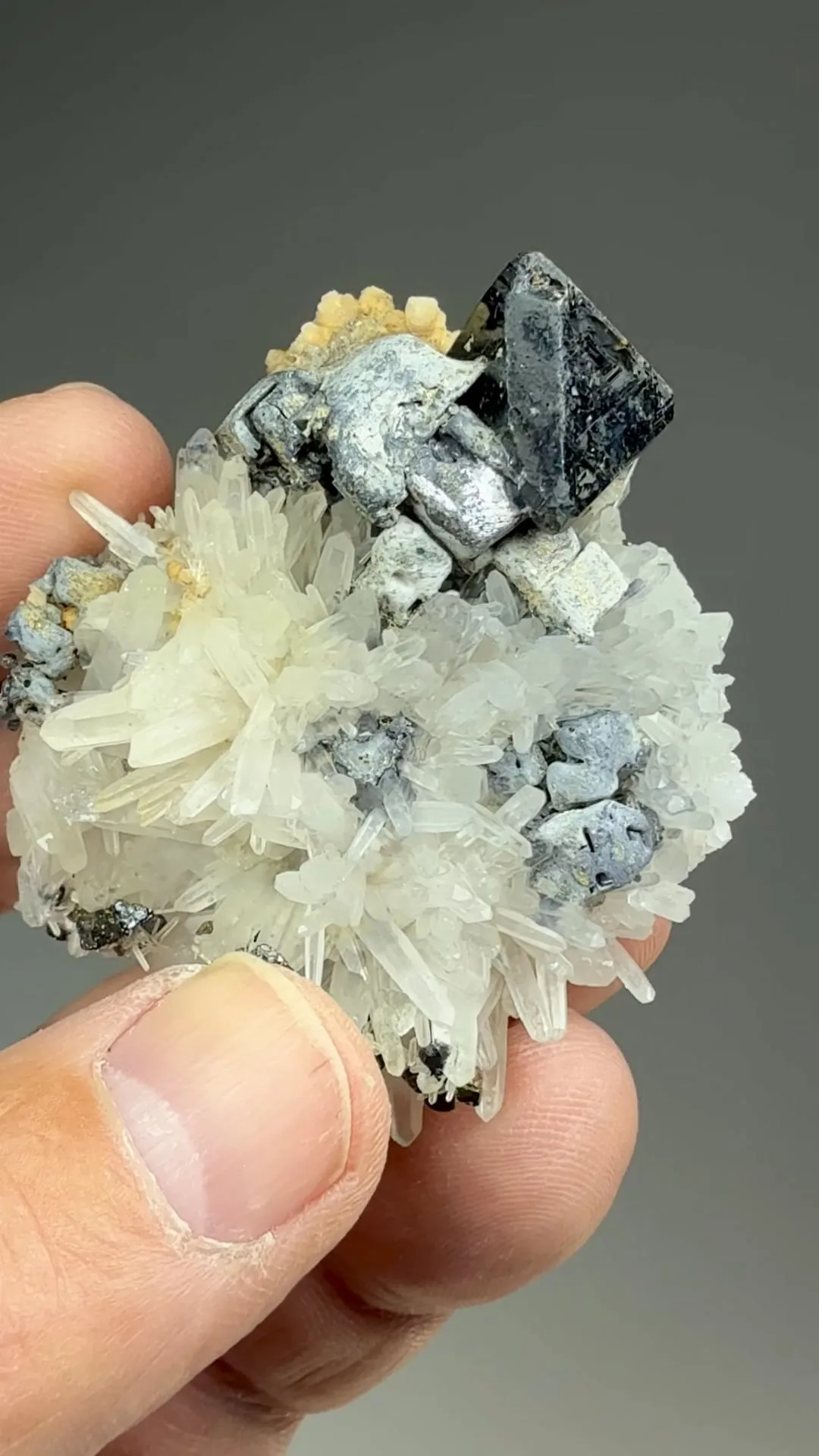 Sphalerite with Galena, Chalcopyrite - image 2