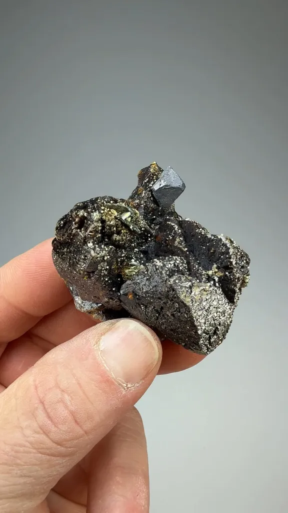 Sphalerite with Galena, Marcasite, Pyrite image