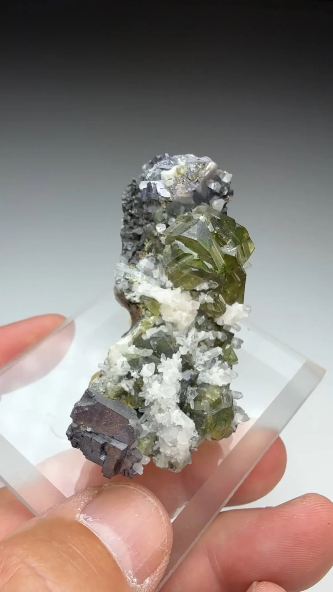 Sphalerite with Galena, Quartz (1239) - image 3