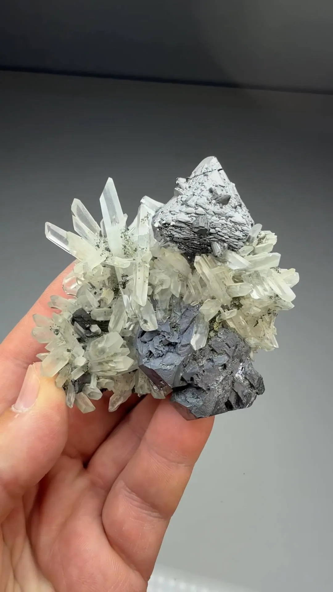 Sphalerite with Galena, Quartz (1267) - image 2