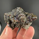 Sphalerite with Pyrite, Chalcopyrite - image 1