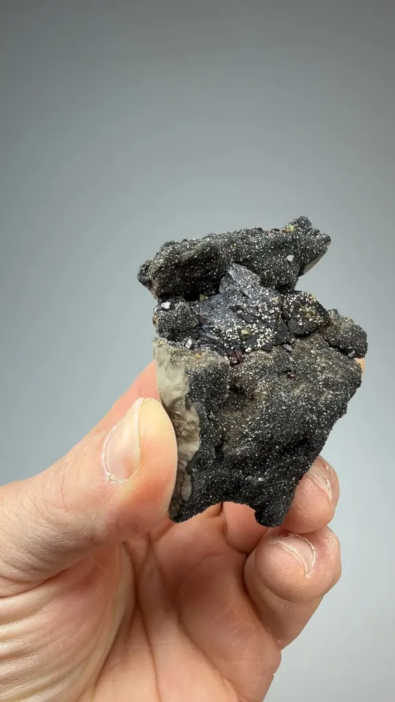 Sphalerite with Pyrite, Chalcopyrite, Quartz image