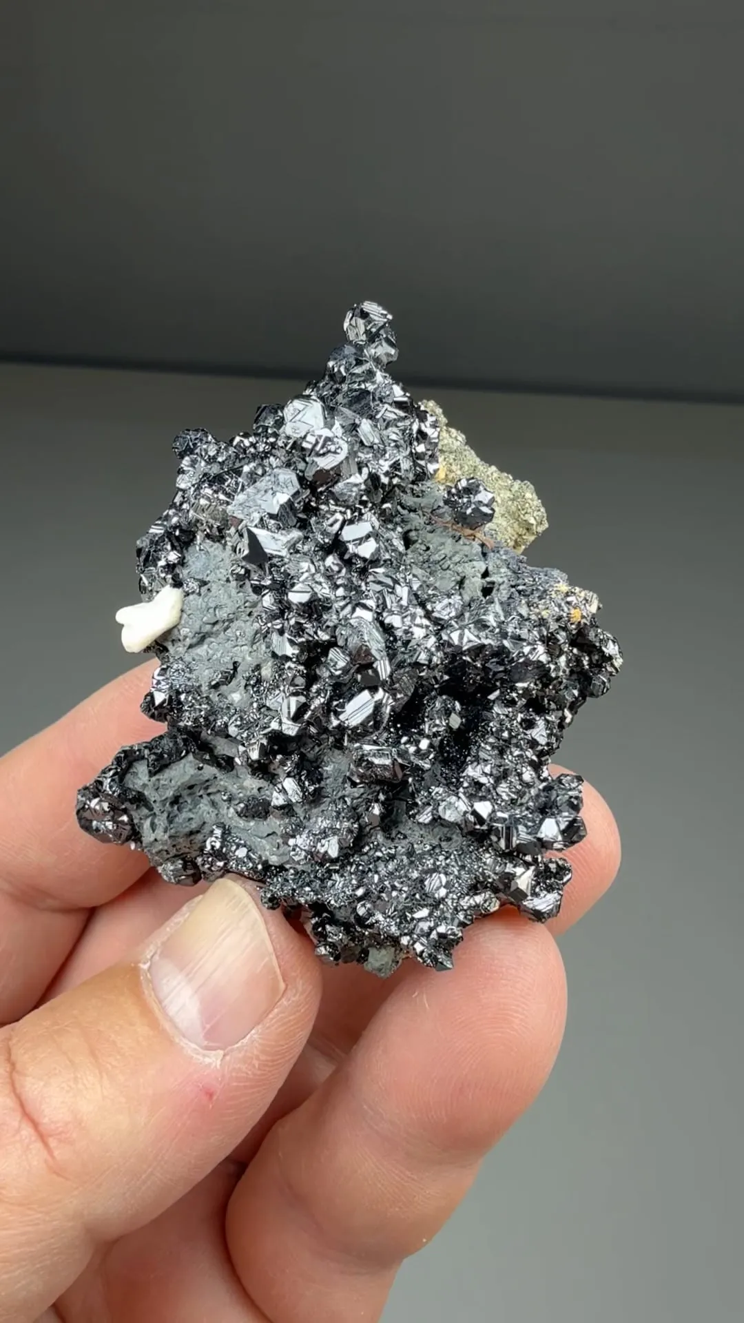 Sphalerite with Pyrite, Galena - image 2